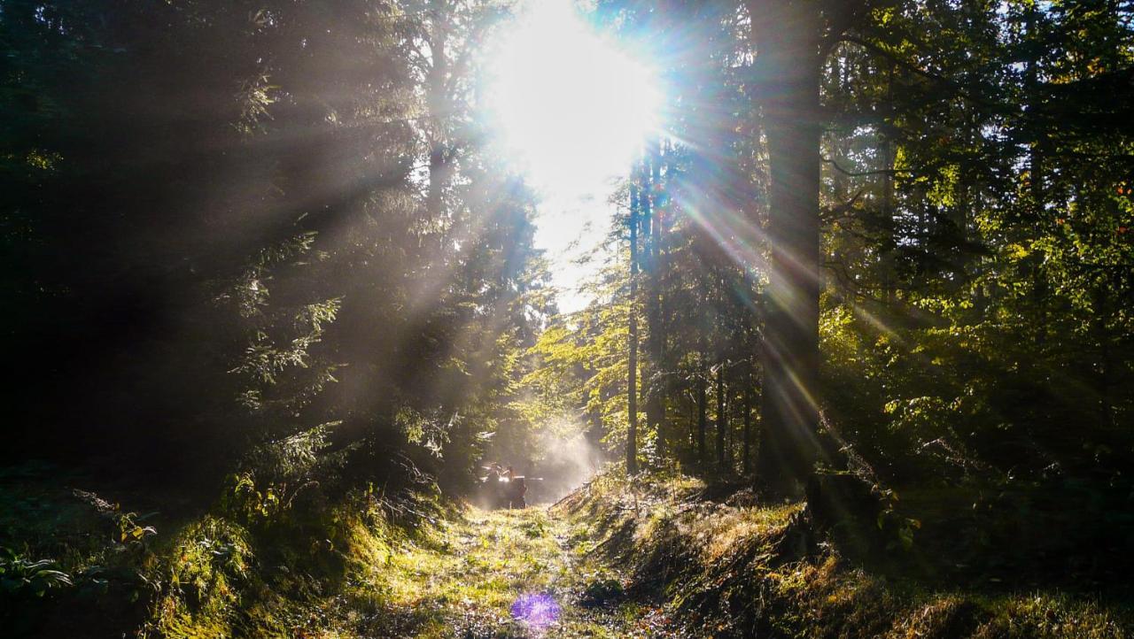 Familien-Hotel Am Traenkbachtal Frauenwald Zewnętrze zdjęcie