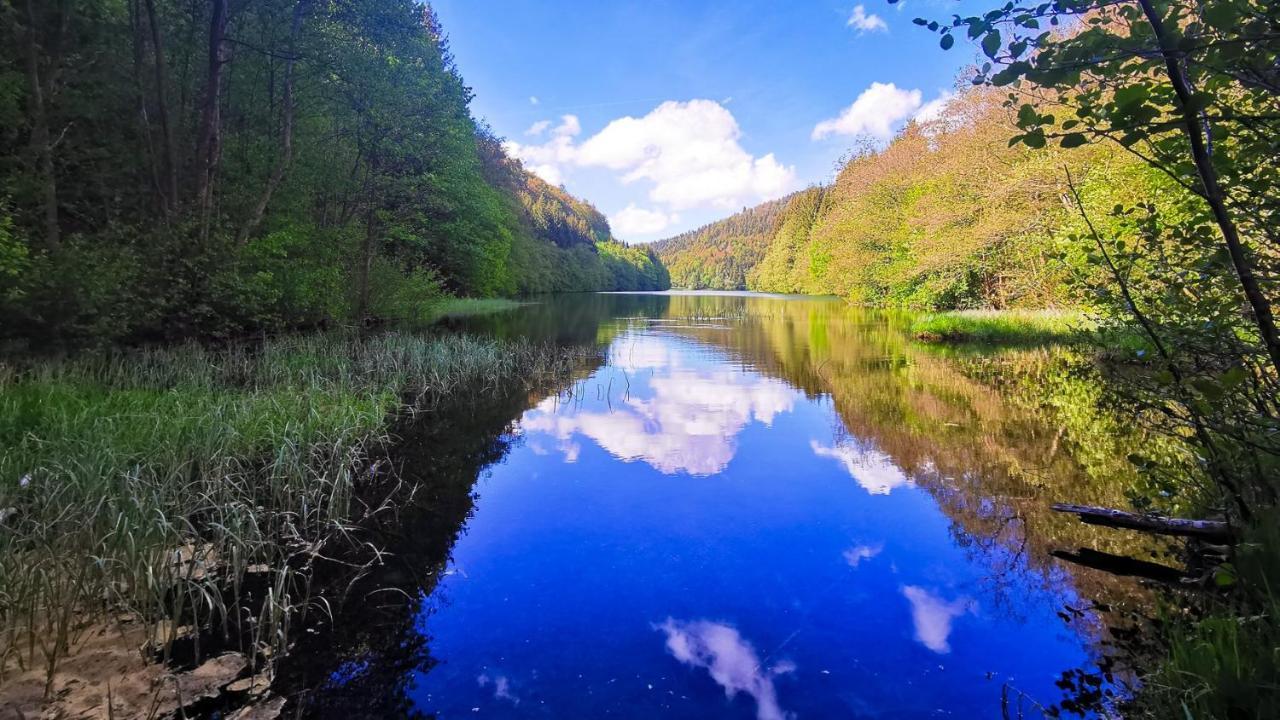 Familien-Hotel Am Traenkbachtal Frauenwald Zewnętrze zdjęcie