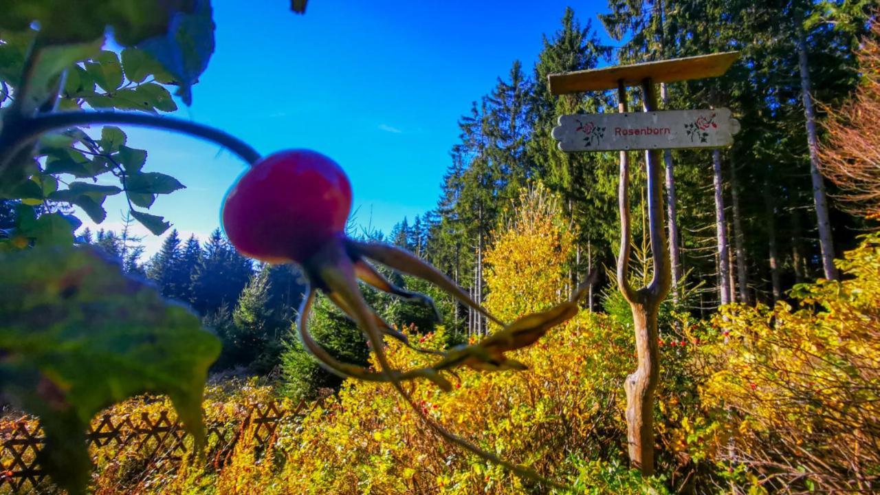Familien-Hotel Am Traenkbachtal Frauenwald Zewnętrze zdjęcie